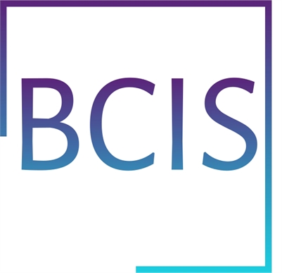 BC Investigative Services