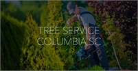 Tree Service Columbia SC