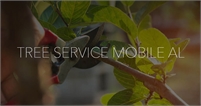 Tree Service Mobile