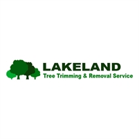 Lakeland Tree Service George Paulson
