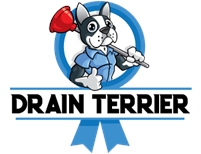  Drain  Terrier